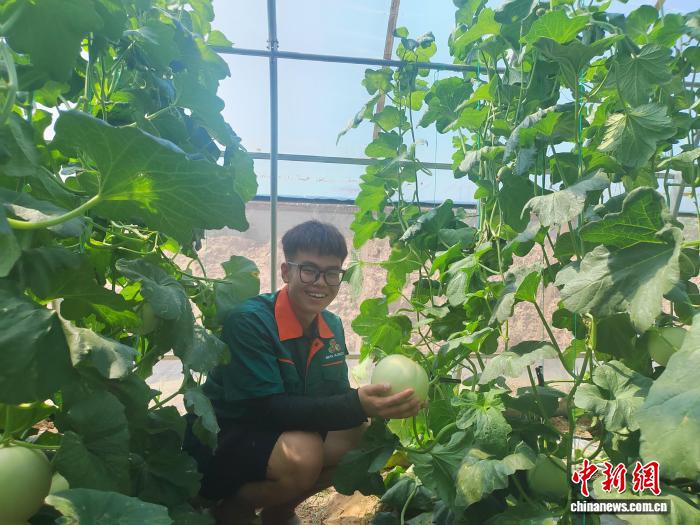 山西, AA, 探索多样化