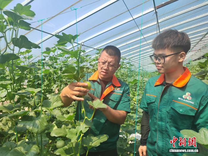 年收入预计, 一次偶然的, 农人的故事