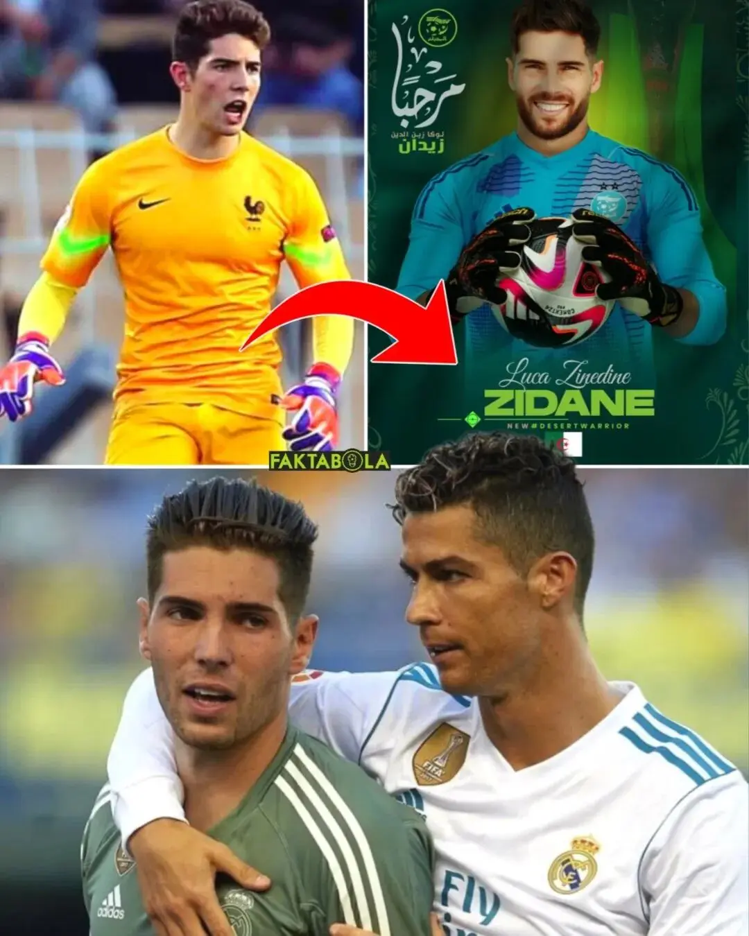 齐达内代表, 在本届世界